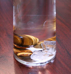 Home Page Image